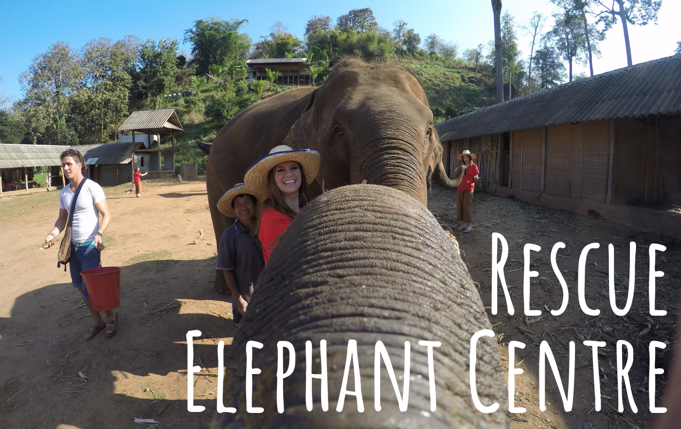 Rescue Elephant Centre​